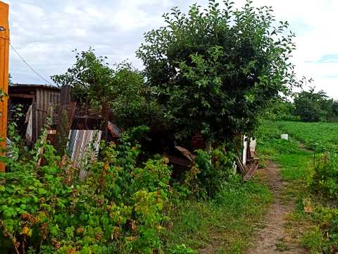 дом по адресу Чумацкая ул. (Блюхера), 204
