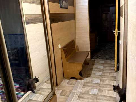 квартира по адресу Борщаговская ул., 139/141