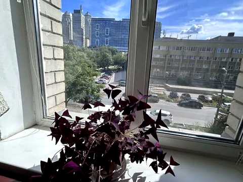 квартира по адресу Литейная ул., 15