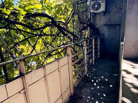 квартира за адресою Леонтовича вул. (Бєлінського), 8