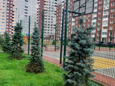 квартира за адресою Балтійський пров., 1