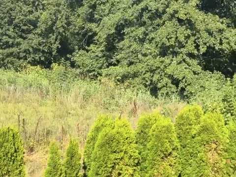 ділянка за адресою Незалежності вул.