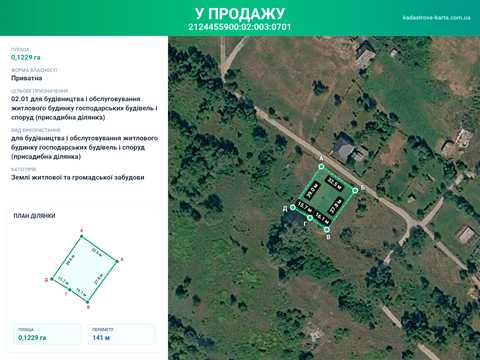 ділянка за адресою смт. Солотвино, Івана Франка, 24