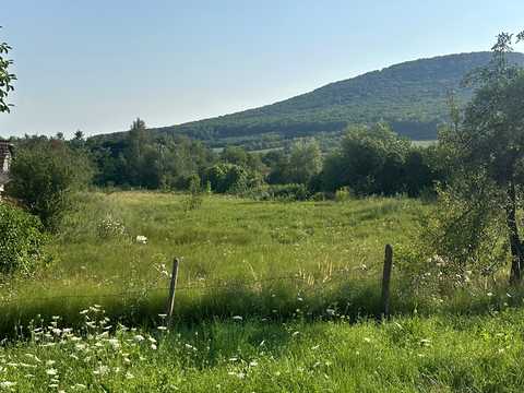 ділянка за адресою с. Глибоке, Головна