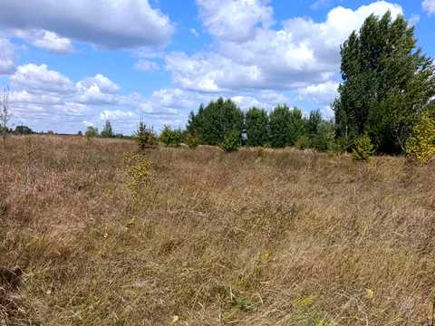 участок по адресу центральна