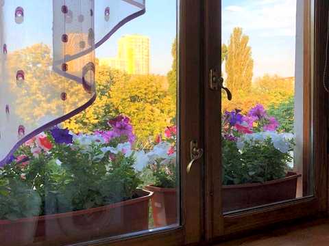 квартира по адресу Миколи Василенка, 4