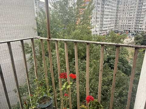 комната по адресу Гвардейцев-Широнинцев ул., 39/1