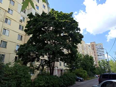 квартира за адресою Героїв Дніпра вул., 32
