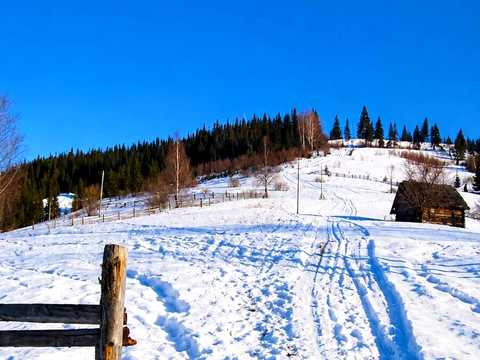 ділянка за адресою с. Криворівня, 