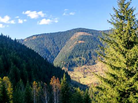 ділянка за адресою с. Криворівня, 