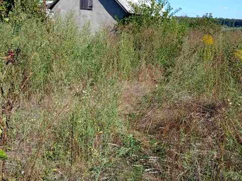 будинок за адресою Михайлівська вул. (Леніна)