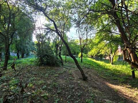 участок по адресу Іллі Рєпіна пер. (Шишкінський), 10
