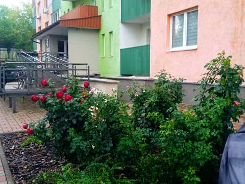 квартира по адресу Михаила Донца ул., 2-Б