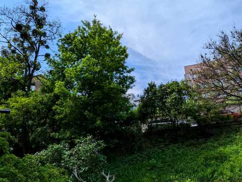 квартира за адресою Генерала Шаповала вул. (Механізаторів), 7