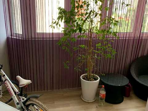 квартира по адресу Олены Пчилки ул., 4
