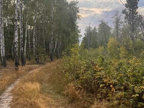 ділянка за адресою 