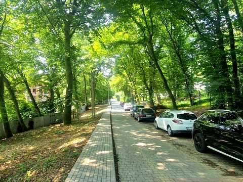 квартира по адресу Лесная ул., 5-В