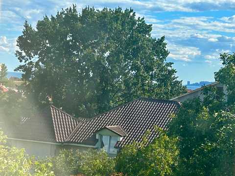 квартира за адресою Капітана Кузнєцова вул., 93