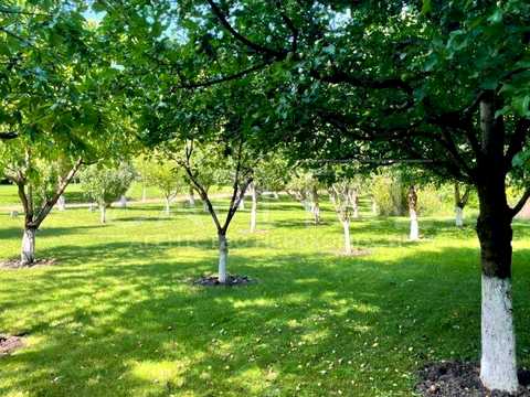 будинок за адресою Тиханська, 34