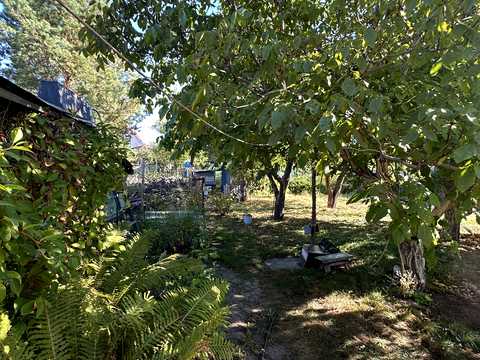 ділянка за адресою с. Пороскотень, Подільська, 6