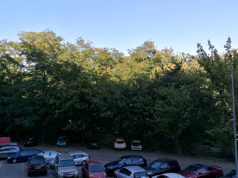 квартира по адресу Академіка Шалімова ул., 69-Б