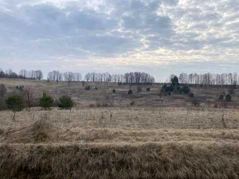 участок по адресу Вишнева