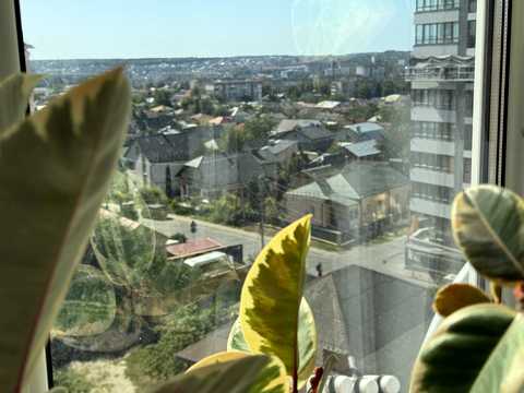 квартира за адресою Степана Бандери просп., 70