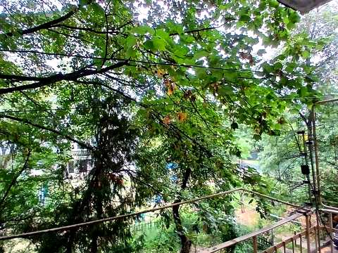 квартира по адресу Природная ул., 1
