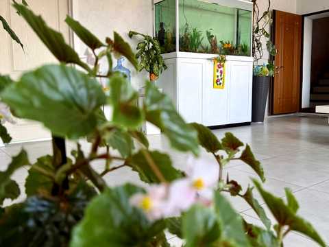 дом по адресу вулиця паркова, 5а