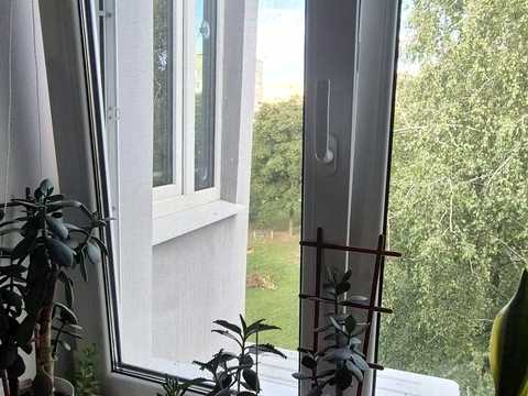 квартира по адресу Юбилейный просп. (50-летия ВЛКСМ), 40а