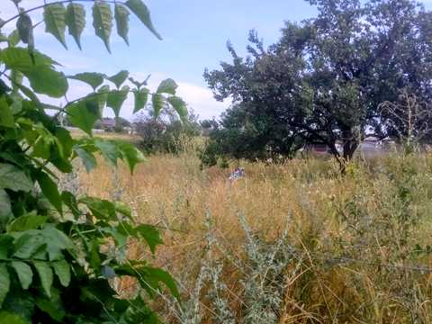 ділянка за адресою смт. Обухівка, Богдана Хмельницкого, 38