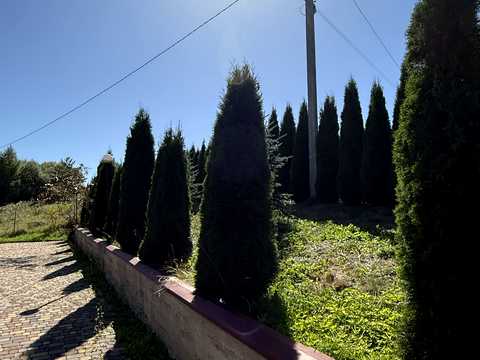 комерційна за адресою Турка, Травнева вул., 5