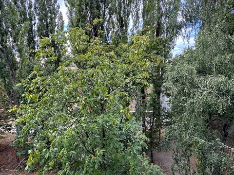 квартира за адресою Михайла Донця вул., 26
