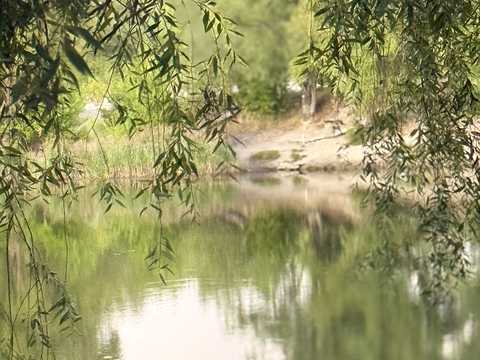ділянка за адресою с. Житники, 