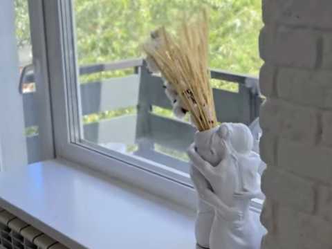 квартира по адресу Деревлянская ул. (Якира), 14