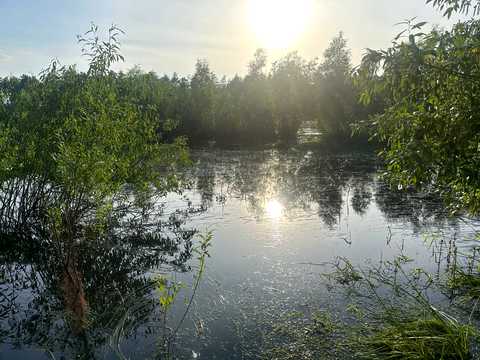 участок по адресу с. Рожны, 