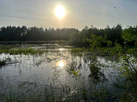 участок по адресу с. Рожны, 