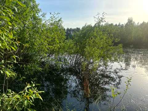 участок по адресу с. Рожны, 