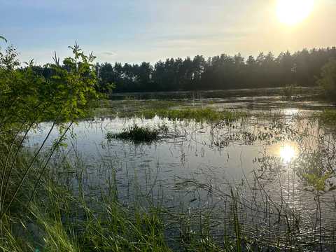 участок по адресу с. Рожны, 