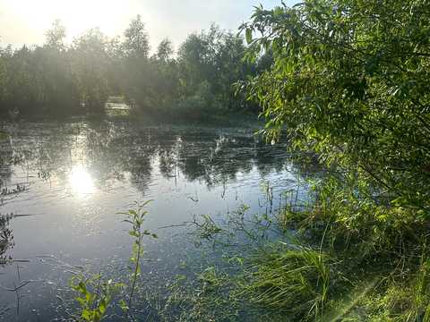 участок по адресу с. Рожны, 