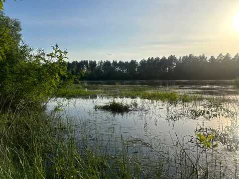 участок по адресу с. Рожны, 