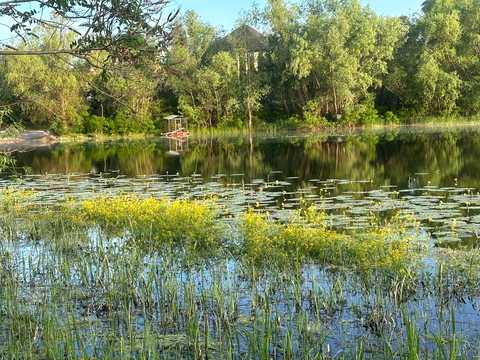 участок по адресу с. Рожны, 