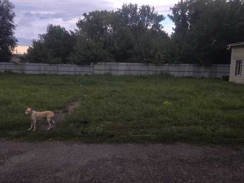 комерційна за адресою Діамантна вул., 8