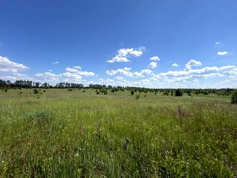 ділянка за адресою с. Гавронщина, 