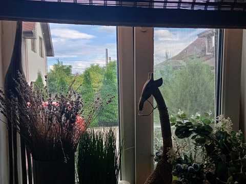 дом по адресу с. Погребы, Яблунева