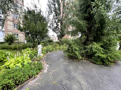 квартира за адресою Ореста Васкула вул. (Феодори Пушиної), 8