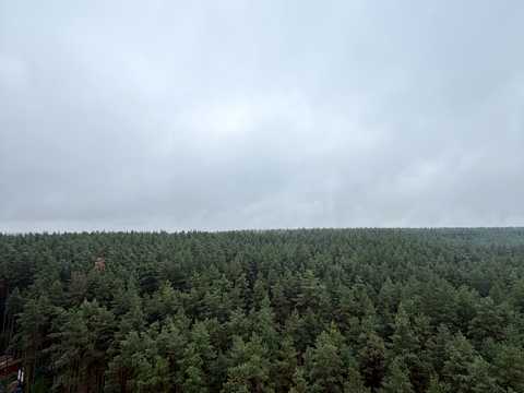 квартира за адресою Олени Теліги вул. (Лермонтова), 2-Д