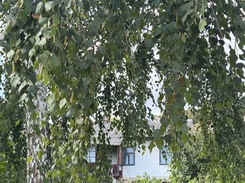 будинок за адресою Стрімкий пров., 1