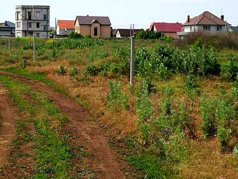 ділянка за адресою с. Приморське, 