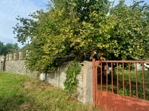 ділянка за адресою Довга, 47